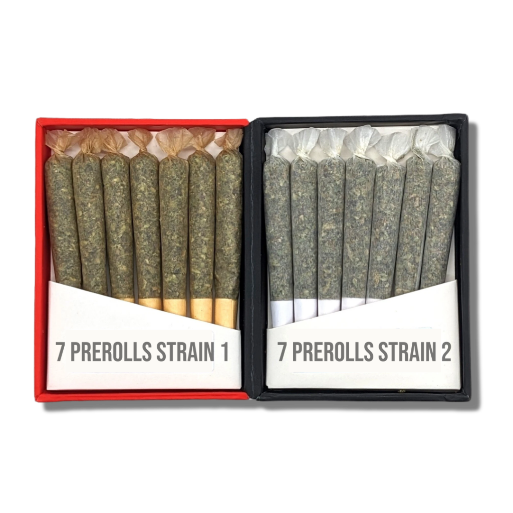 14 DUO PACK PREROLLS – 7 ELECTRIC BLUE + 7 SUPER SILVER HAZE (14 Half Gram PreRolls | 7 Grams)