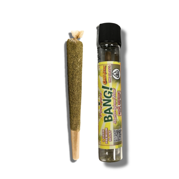 SINGLE CHIEF STICK – 1 GRAM SHATTER INFUSED PREROLL – PINEAPPLE BANG